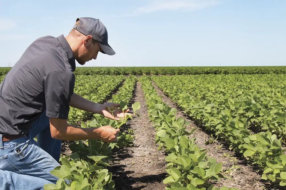 Irrigation in Australia